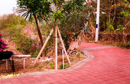 Bukit Hotel | Pier26 Bali Homestay