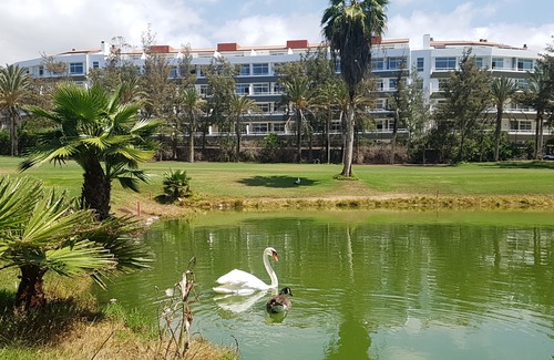 El Madronal Hotel | Gara Suites Golf & Spa