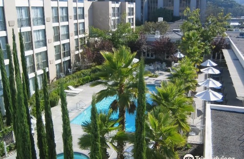 San Rafael Hotel | Four Points by Sheraton San Rafael Marin County