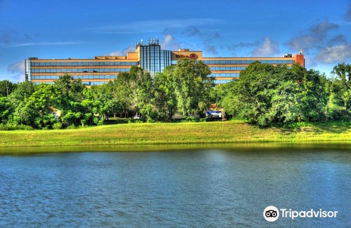 Altamonte Springs Hotel | Hilton Orlando/Altamonte Springs