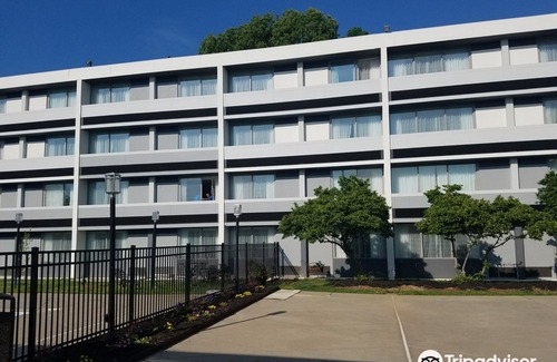 Winston - Salem Hotel | Best Western Plus University Inn