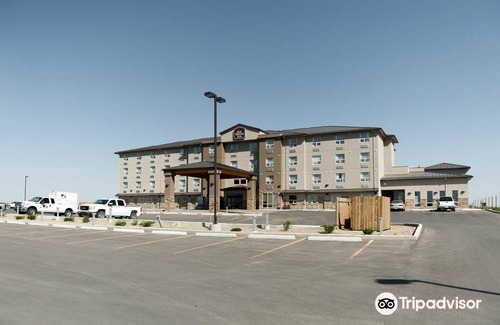 Moose Jaw Hotel | Best Western Plus Moose Jaw