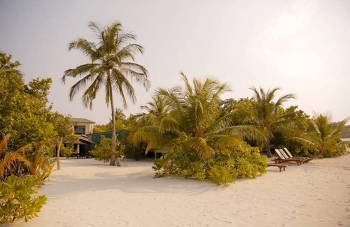 Vashafaru Bed & Breakfast | 3-star hotel ∙ My House Maldives