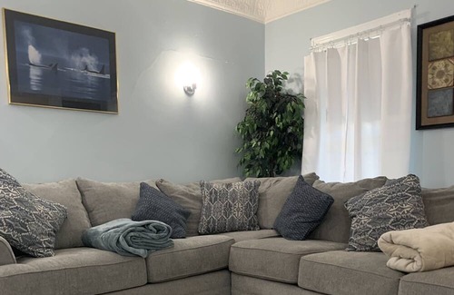 Downtown Rochester House | Historic Home - Spacious, clean house . Susan B. Anthony Neighborhood.
