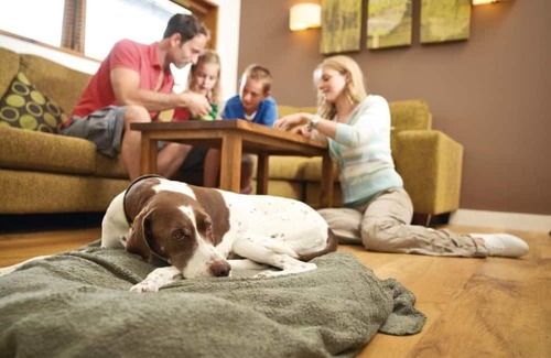 North York Moors National Park Cabin | 2 bedroom accommodation in Cropton, Pickering