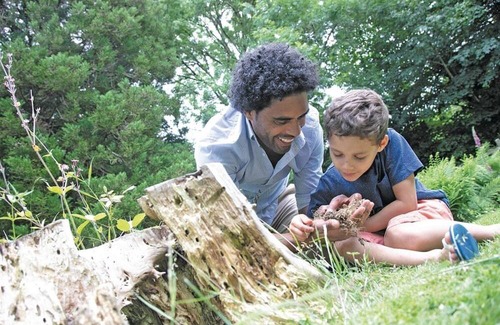 Perranporth Cabin | 0 bedroom accommodation in Perranporth