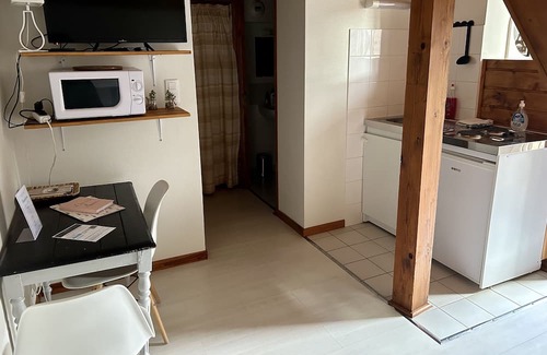 Villemoiron-en-Othe Apartment | Le domaine du Lavoir / Moumoune sleeps 4. Jacuzzi access from April to October