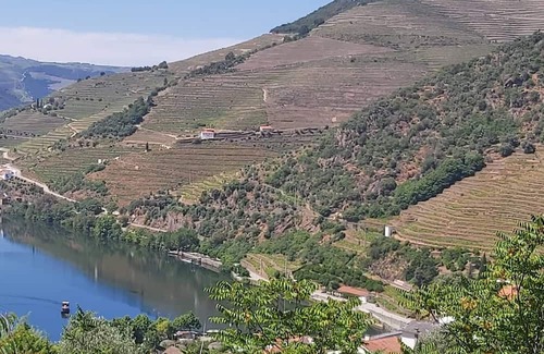 Bomfim House | Typical House in the heart of the Douro