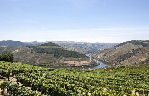 Bomfim House | Typical House in the heart of the Douro