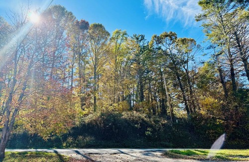 Linville Falls Cabin | Parkview Lodge & Cabins