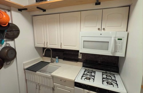 Gowanus Apartment | Enjoyable 2-bedroom apartment in Brooklyn with WiFi and Backyard.