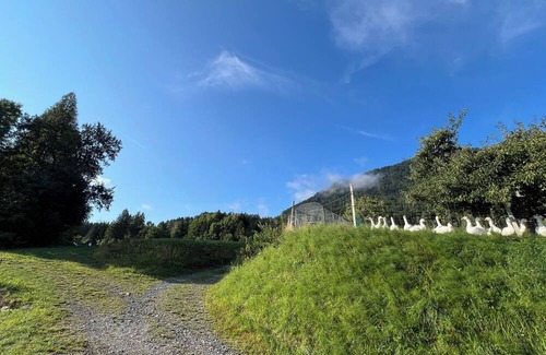 Hohenthurn House | Fair-priced and compact rooms overlooking Dobratsch (10 mins to Dreiländereck)