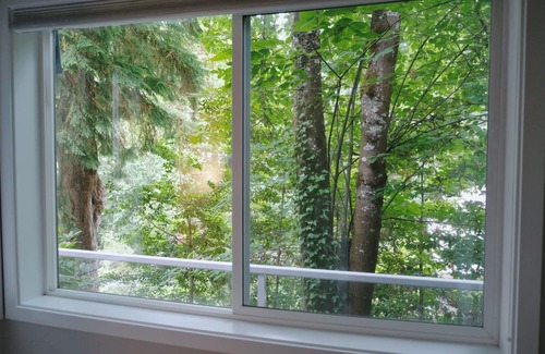 Mercer Island Apartment | Entire 1b1b Mercer Island apartment