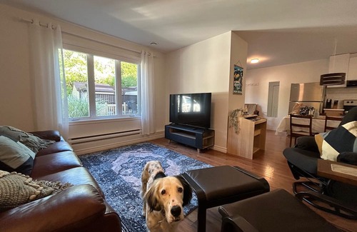 Bromont Apartment | Homelike, comfy apartment w/fire pit. Dog-friendly. Only 4 min to the Mountain!