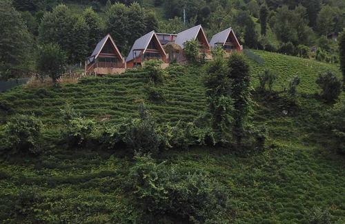 Ayder House | doğa severler, serin ve buğulu havada güzel bir konaklama için ÇAMLIHEMŞİN.