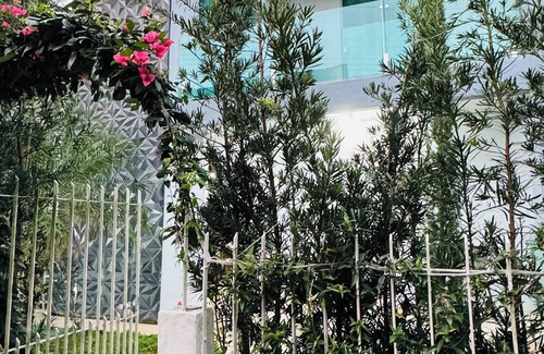 Capoeiras House | Quarto Confortável em Casa Grande