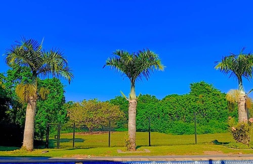 Mtunzini House | Witpeer Guesthouse