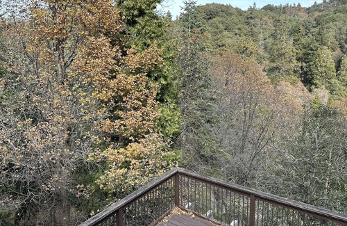 Crestline Cabin | Cozy Cabin with large deck & amazing view- near Lake Gregory, 420 & pet friendly
