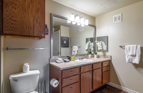 South Arlington Apartment | Unique Sanitized Cozy 1Br by DFW//Att/GlobalLife/SixFlags/TexasLive