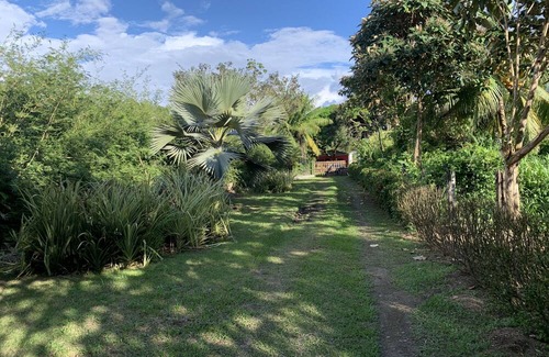 Palma Apartment | Studio cabin with AC & WiFi located in a Tropical Paradise