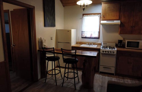 Crestline Apartment | Grey Squirrel in Crestline Mountains