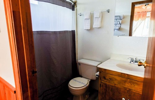 Crestline Apartment | Grey Squirrel in Crestline Mountains