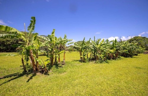 Punaluu Cabin | Majestic Cabin Stay