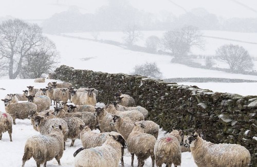 Bainbridge House | Luxury Barn Suite with Hot Tub - Dog Friendly