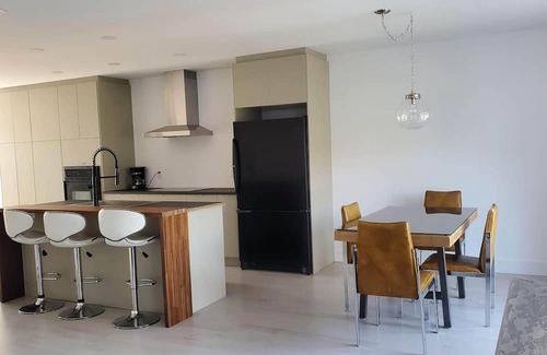 Hochelaga-Maisonneuve Apartment | Magnifique Logement à 10 min du Centre-ville Avec une Terrasse sur le Toit