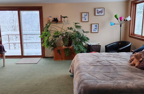 Ithaca House | Beautiful home on wooded acreage minutes to Cornell, NYS Parks and waterfalls
