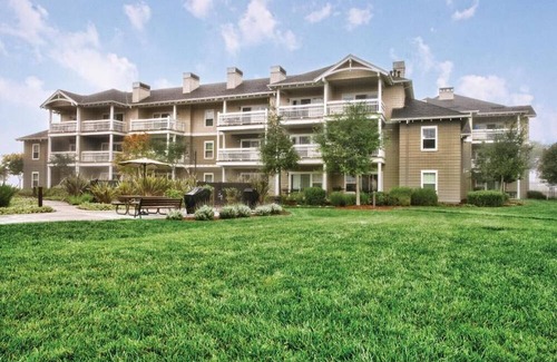 Windsor Resort | Stevie Nicks, Megan thee Stallion, Sheeran, Pearl Jam, Bottlerock Napa 2024