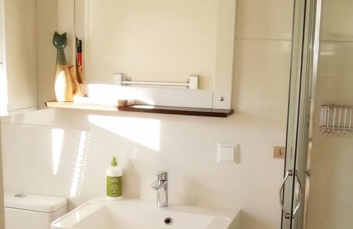 Diersheim Apartment | Modernes Tiny House Ortenau
