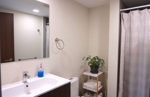 San Jose Apartment | Cozy Apartment close to the nicest parts of San jose, 15 min to SJO airport