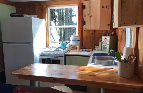 Bloomingdale Cabin | Ten/ twenty minutes to Lake Placid, Whiteface Mnt. Saranac Lake!