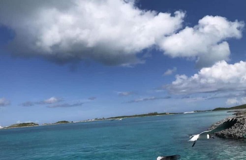 Farmer's Hill House | Staniel Cay Bahamas, Thunderball Point