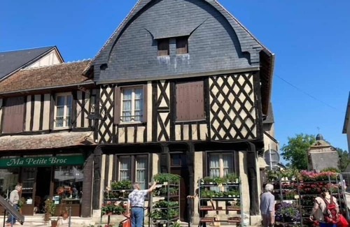 Aubigny-sur-Nere Apartment | Villa Capucine
