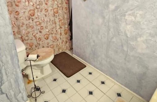 Firestone House | The hide-out basement apartment