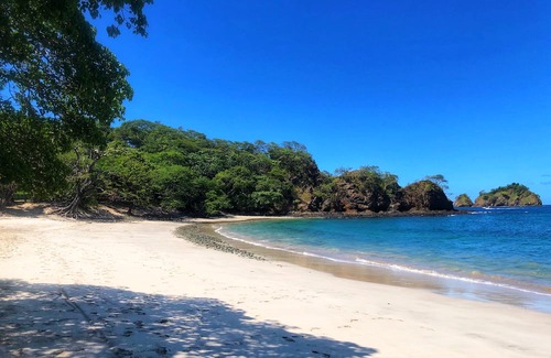 Coco House | Add Headline