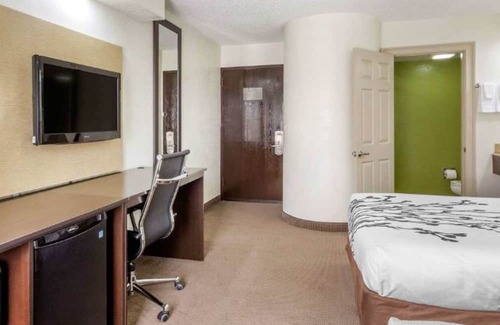 Temple Terrace Hotel | Conveniently Located Modern Rooms – Near Downtown Tampa Hot Spots | 2 Units