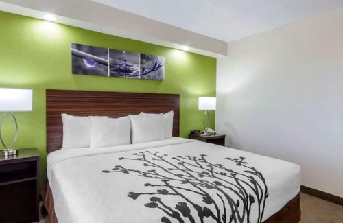 Temple Terrace Hotel | Enjoy Proximity to MOSI at This Charming Room w/Comfortable Atmosphere