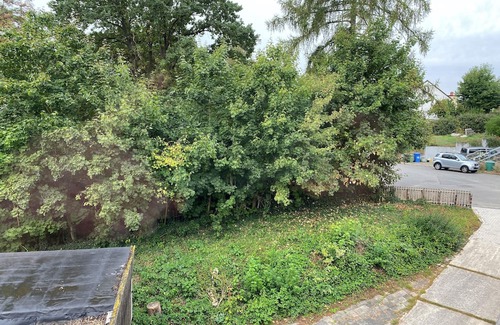 Emmerstedt Apartment | Vacation apartment/apartment for 3 guests with 50m² in Helmstedt (297635)
