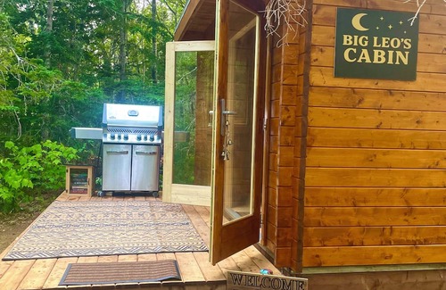 Dingwall Cabin | Big Leo’s River View Cabin