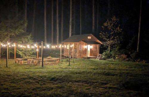 Langley Cabin | Pine Guest Cabin in the Woods