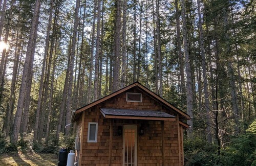 Langley Cabin | Pine Guest Cabin in the Woods