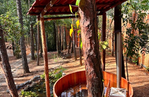 Huasca De Ocampo Cabin | Bosque Érase Una Vez- Unique Cabins in The Forest (pet friendly)
