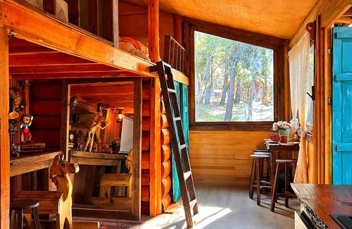 Huasca De Ocampo Cabin | Bosque Érase Una Vez- Unique Cabins in The Forest (pet friendly)