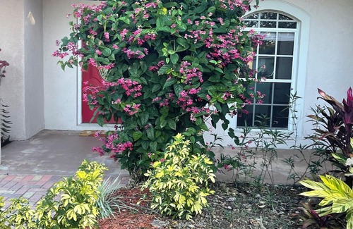 Greater Northdale House | Charming 2-bedroom house in welcoming Tampa with AC