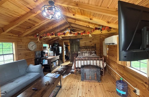Kerr Apartment | Charming one-room cabin retreat with private bath, kitchenette and log gazebo.