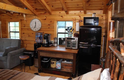 Kerr Apartment | Charming one-room cabin retreat with private bath, kitchenette and log gazebo.