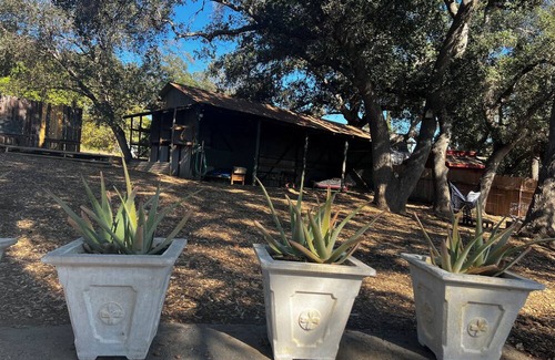 Meiners Oaks House | Adorable space with entertainment barn